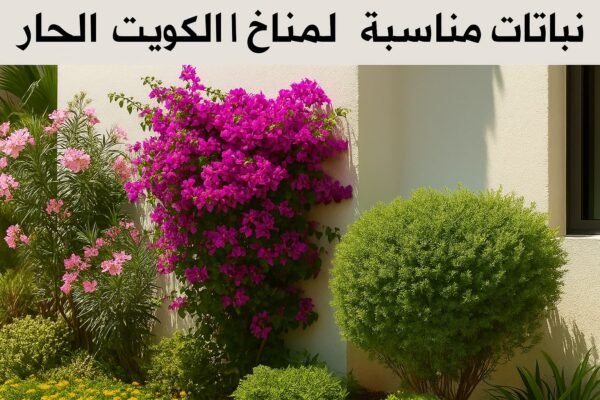 نباتات تتحمل الحرارة في حدائق الكويت