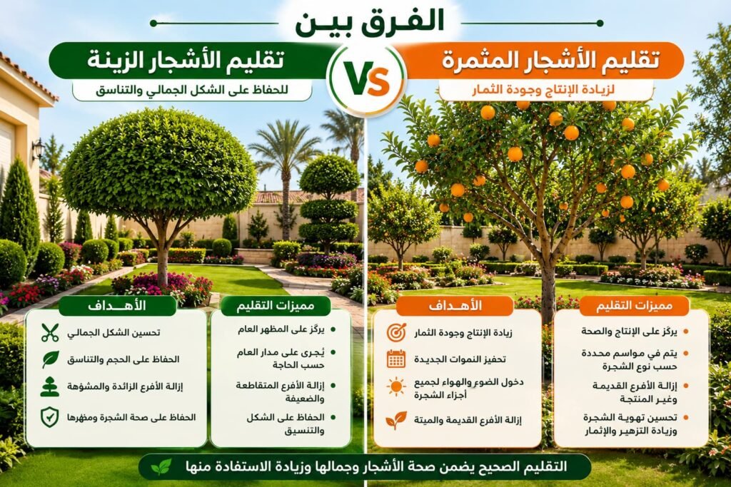 الفرق بين تقليم الأشجار الزينة والأشجار المثمرة